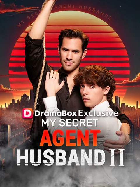 My Secret Agent Husband 2