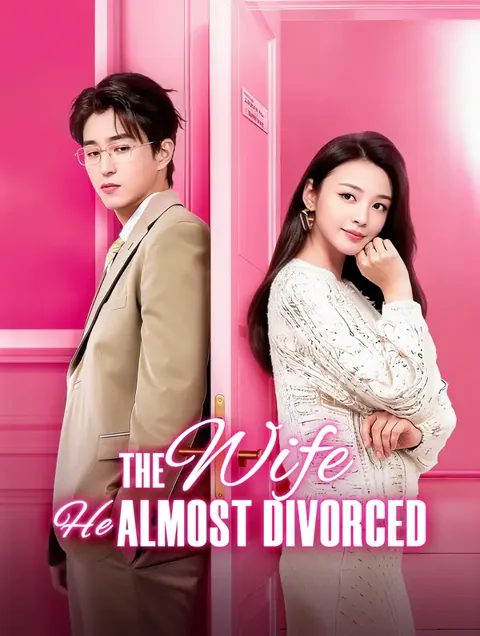 The Wife He Almost Divorced
