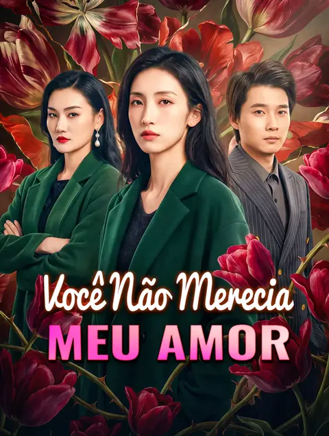 Você Não Merecia Meu Amor
