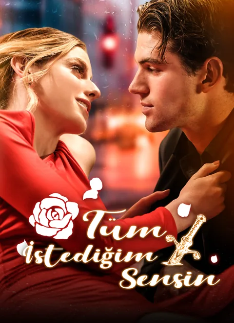 Tüm İstediğim Sensin