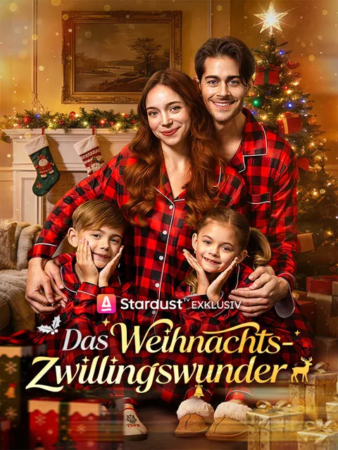 Das Weihnachts Zwillingswunder
