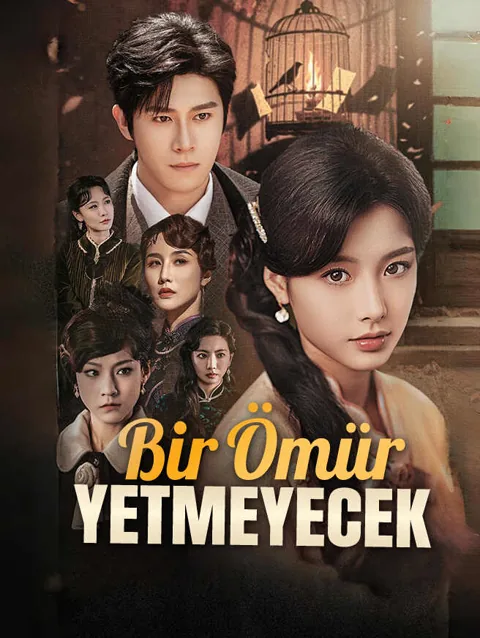 Bir ömür Yetmeyecek